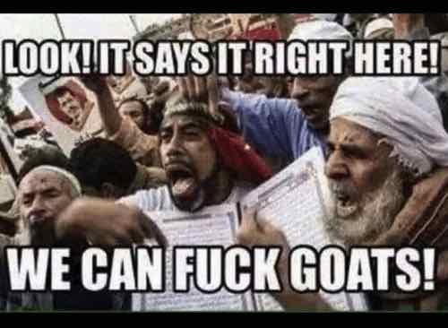 look-itsaysit-right-here-we-can-fuck-goats